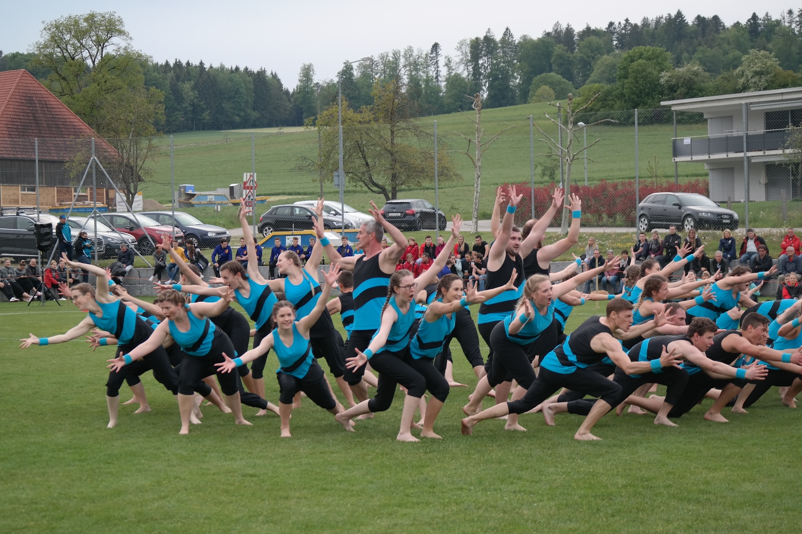 Bild 1 (276)